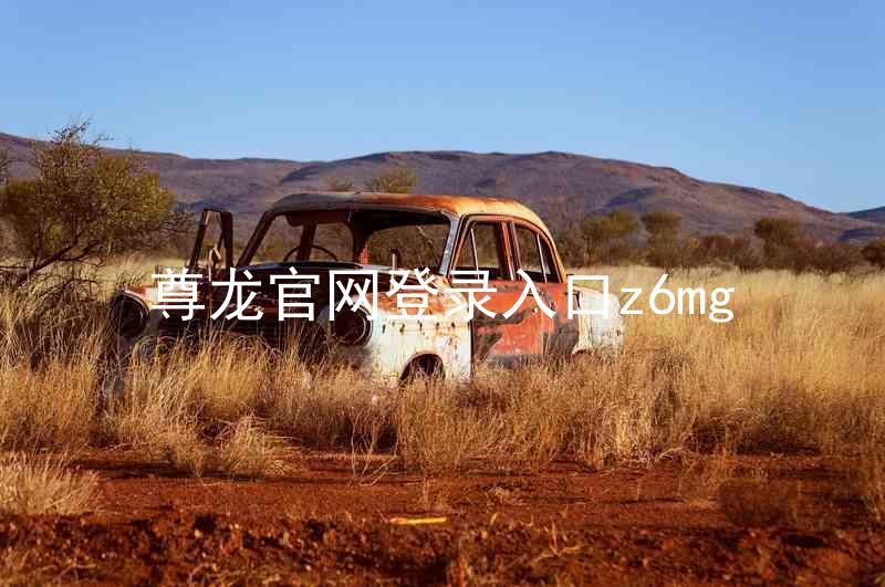 尊龙官网登录入口z6mg