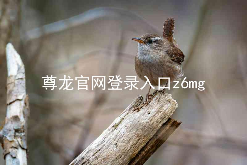 尊龙官网登录入口z6mg