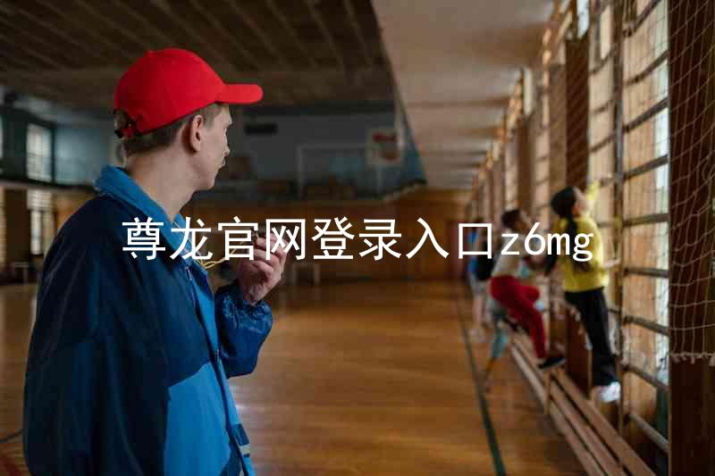 尊龙官网登录入口z6mg